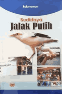 Image of Budidaya Jalak Putih